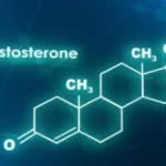 La hormona de la testosterona