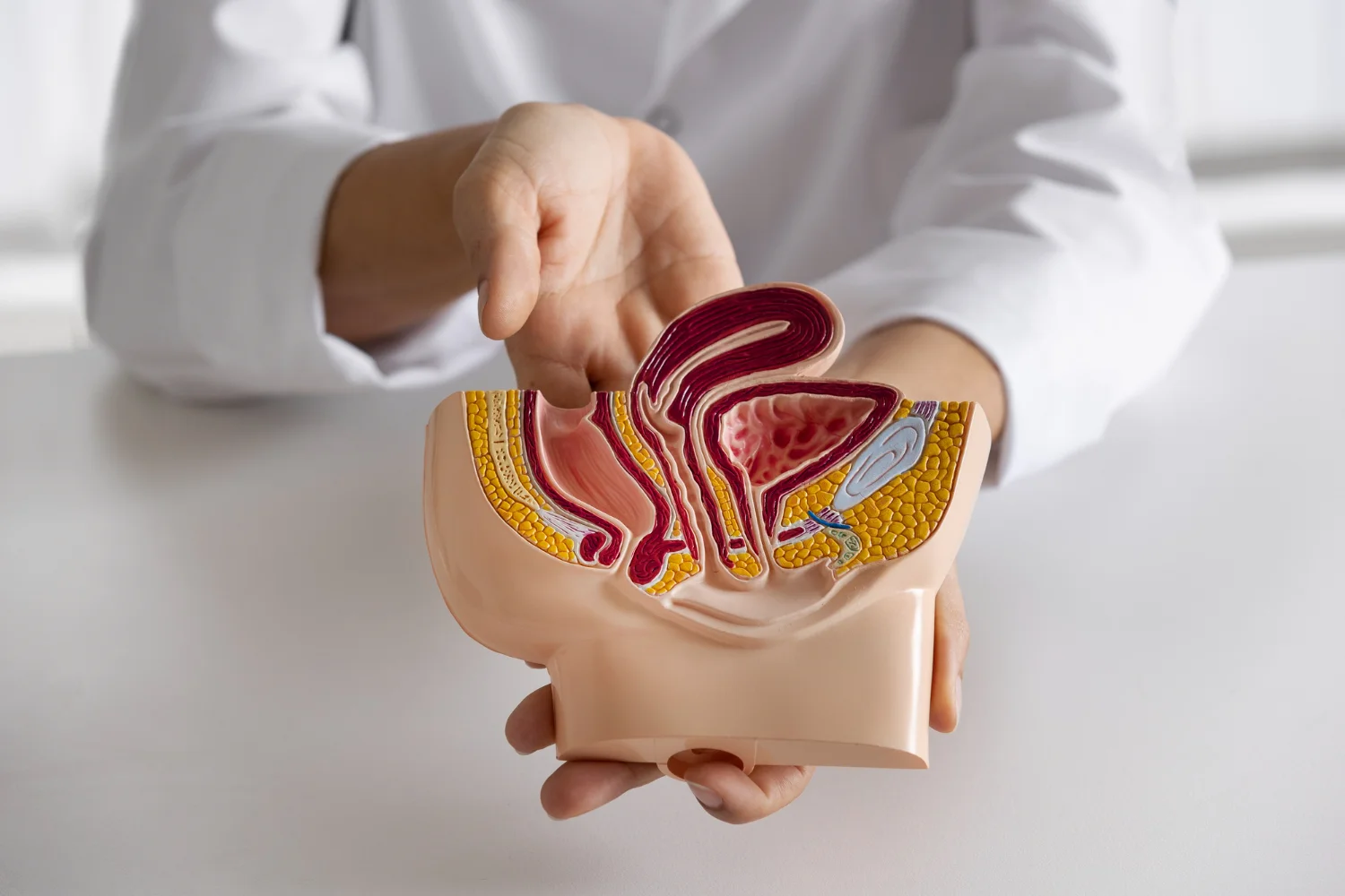 Explicando la vaginosis bacteriana