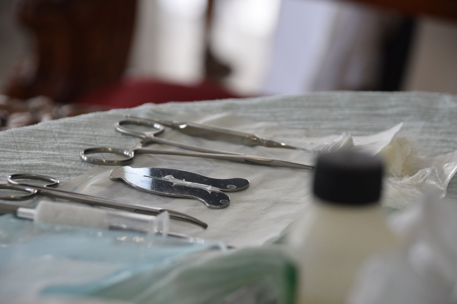Operacion de la circunsicion